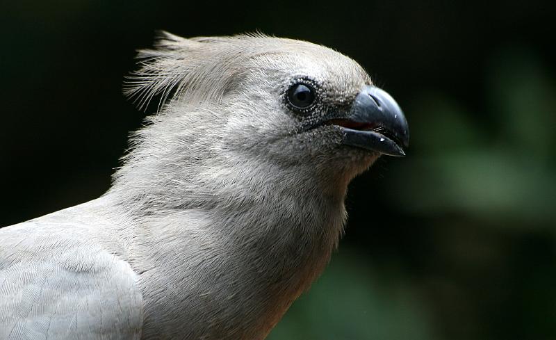 Frieda voels 088.jpg - Julle jeug van vandag!